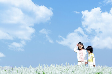 花畑を歩く女の子と男の子