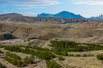 Sandy and loamy hills with stands of forest strips