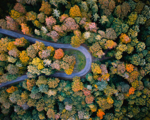 Drohnenaufnahme von einer kurvigen Straße von oben