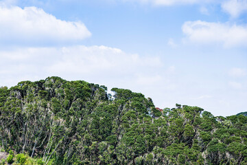 landscape with blue sky and clouds