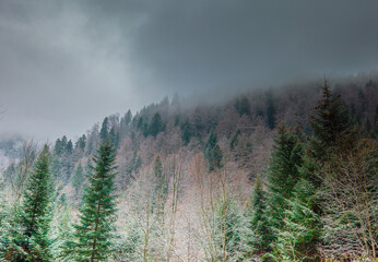 Brusnica, a trip to a beautiful mountain and ski center in Bosnia.
