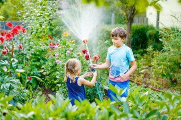 Beautiful little toddler girl and school kid boy watering garden flowers with water hose on summer...