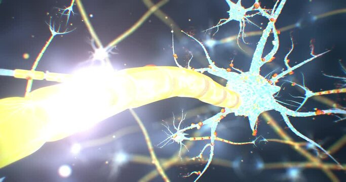 Neuronas and Synapse 3D render. Neuronal activity in the brain, neural network, neuroactivity, synapses, dendrid, neurotransmitters, myelin, Schwann cells, brain, axons. 