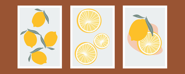 Lemon tree branch with yellow lemon, flowers and green leaves isolated on white. Doodle. Set of fresh, whole fruits. Citrus. Minimal style. Black line. Vector illustration of handwriting.
