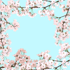 Obraz na płótnie Canvas 満開の桜の花　春　3DCG
