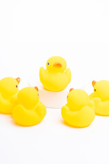 A group of yellow rubber duck following the leader
