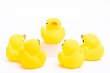 A group of yellow rubber duck following the leader