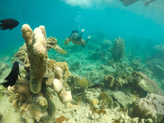 woman snorkeling with fish. Underwater moment
