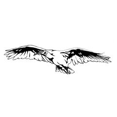 鳥（トキ 絶滅危惧種）の線画イラスト
