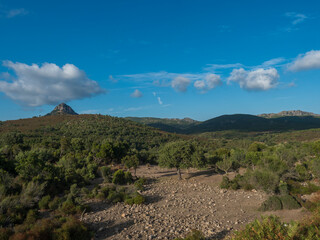 Idyllic rural landscape with View of limestone mountain Monte Oseli, green forest, trees and hills in region Ogliastra, Urzulei Sardinia, Italy, summer, blue sky