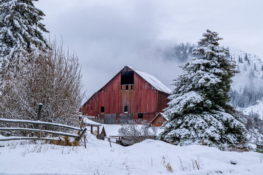 Old Wooden Red Barn in Snow-Covered, Foggy Winter Forest - Methow Valley, Washington, USA - Powered by Adobe
