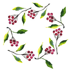 Round frame of branch with red berries and green leaves isolated on white background. Watercolor hand drawing illustration. Perfect for card, print, cover.