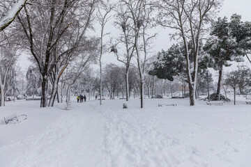 streets and parks of Madrid, covered by snow, due to the storm Philomena of January 2021