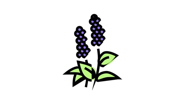 patchouli flowers aromatherapy animated color icon. patchouli flowers aromatherapy sign. isolated on white background