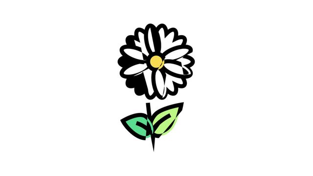 chamomile flower aromatherapy animated color icon. chamomile flower aromatherapy sign. isolated on white background