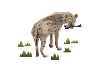 African spotted hyena with a bone in its teeth. Wild animal. Hand drawn sketch on white background vector illustration.