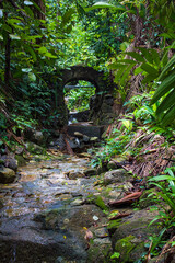 Waterfall at Penang Botanical Garden, Penang island, Malaysia 