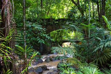 Waterfall at Penang Botanical Garden, Penang island, Malaysia 