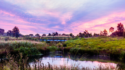 Beautiful Morning in Wangal Park