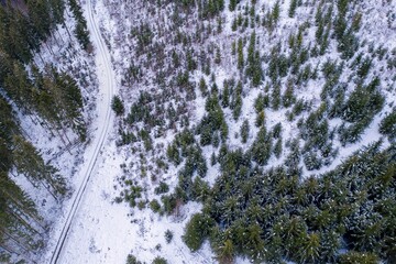 a snow winter forest from above