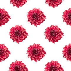 Beautiful background with hand-drawn delicate watercolor painting of red and pink dahlias. Stock drawing. Black background