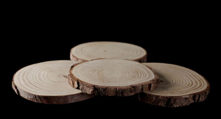 Tree trunks cross section, wooden stumps isolated on white background