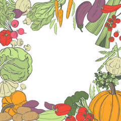 Sketch vegetables. Vector  illustration