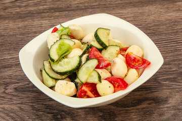 Salad with vegetables and mozzarlla
