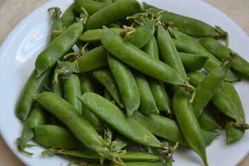 Green pea pods from farmland. Pea freshly picked. Organic spring pea pods. Vintage paper background. Fresh vegetables. Healthy eating. Country garden harvest.