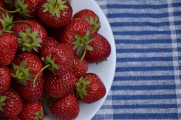Strawberry from country garden. Freshly picked strawberries. Organic berries. Ripe sweet fruit on blue napkin. Village garden harvest.