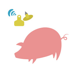 The silhouette of a pink pig, and the image of electronic tags in yellow. Suitable for use in advertising materials on agriculture, in the form of icons for the site and infographics