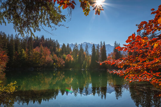 Lac Vert en automne, Passy, haute Savoie, France