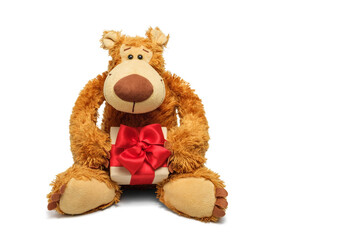 Teddy bear with a gift in his hands, isolate