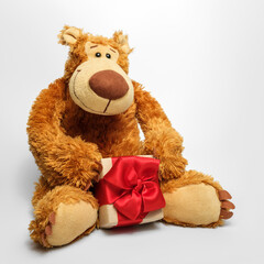 Teddy bear with a gift in his hands