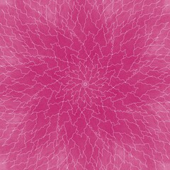 Fototapeta premium pink background