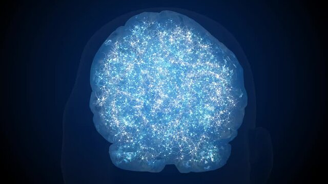 Inside the brain, neurons, the work of neurons, neuroplasticity, brain scan