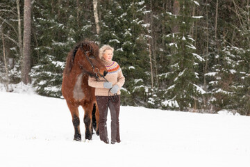  Icelandic horse in wintery scene in Finland
