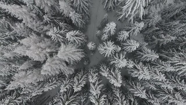 Winter Hiking in different places through the Thuringian Forest - Germany