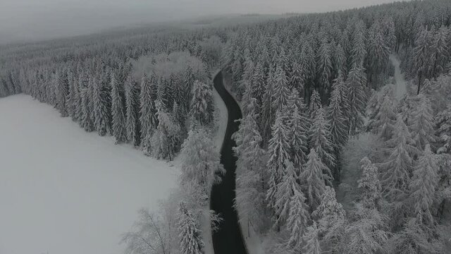 Winter Hiking in different places through the Thuringian Forest - Germany