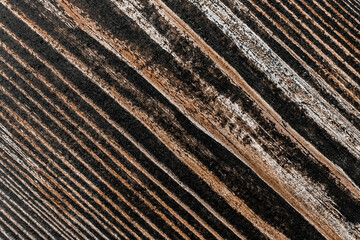 Closeup diagonal lines texture of old wooden dark surface background