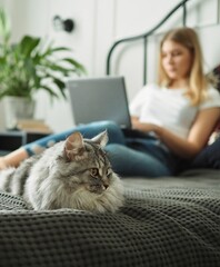 Girl student freelancer working at home with her gray flafy cat. Woman working on a laptop sitting on the bed in the house. Distance learning online education and work, lifestyle. Home office.