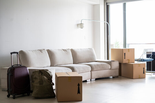 Interior of living room