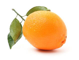 Orange fruit on the white background