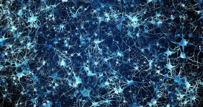 Inside the brain, neurons, the work of neurons, neuroplasticity, brain scan