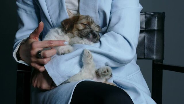 Woman stroking a puppy sleeping on her lap