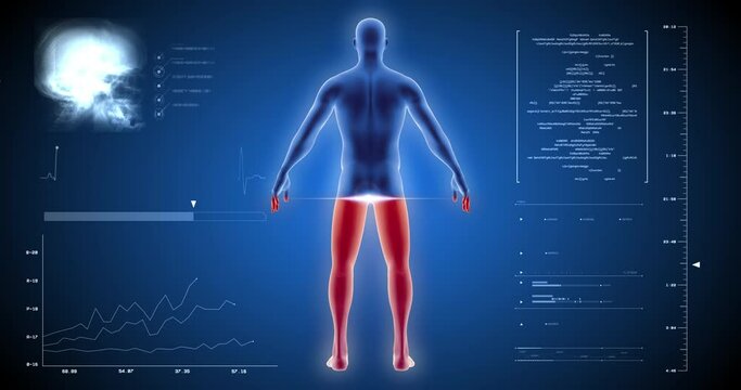 3D human body scan, body scanner, medical screen, tomography, medical tests, X-ray
