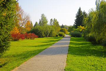 Walking path in the garden on a sunny day. selective focus.