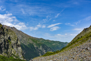 Naklejka premium Tseyskoe gorge on a sunny summer day, Russia, North Ossetia