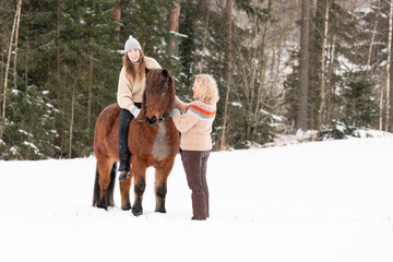  Icelandic horse in wintery scene in Finland