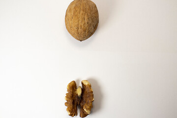 Walnuts on white isolated background with place for text